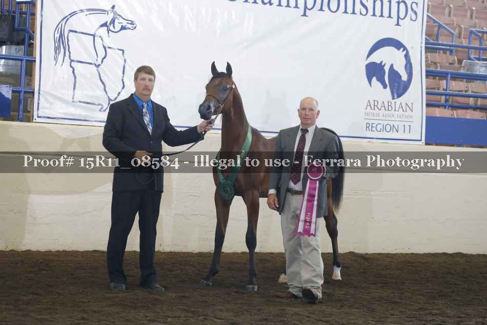 Proof 15R11_08584