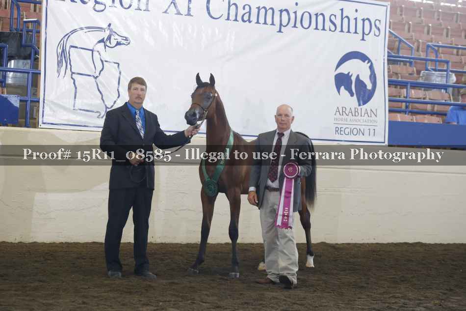 Proof 15R11_08585
