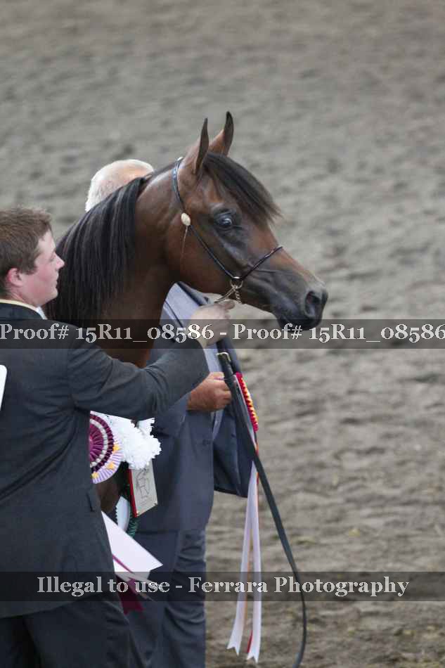 Proof 15R11_08586