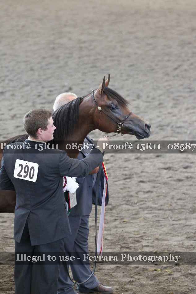 Proof 15R11_08587