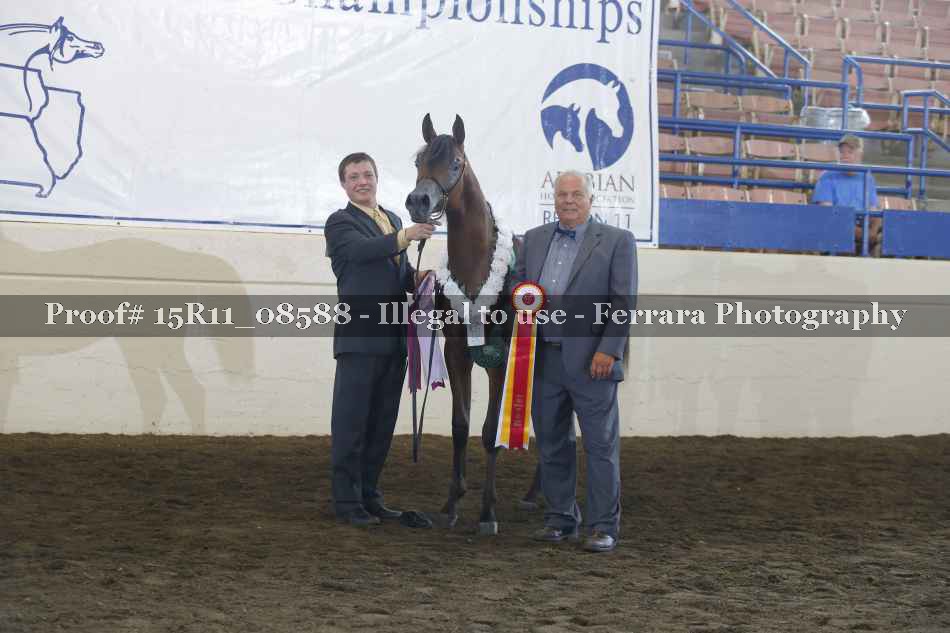 Proof 15R11_08588