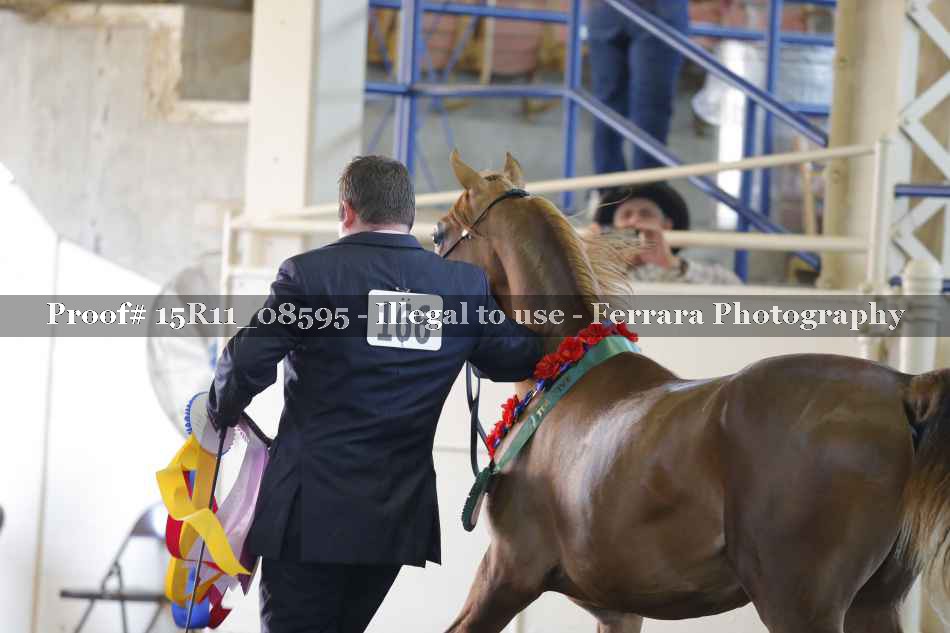 Proof 15R11_08595