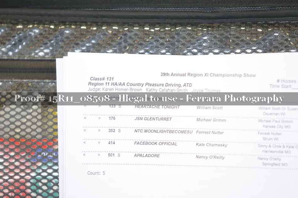 Proof 15R11_08598