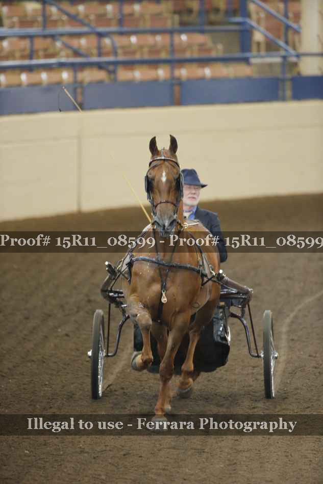 Proof 15R11_08599