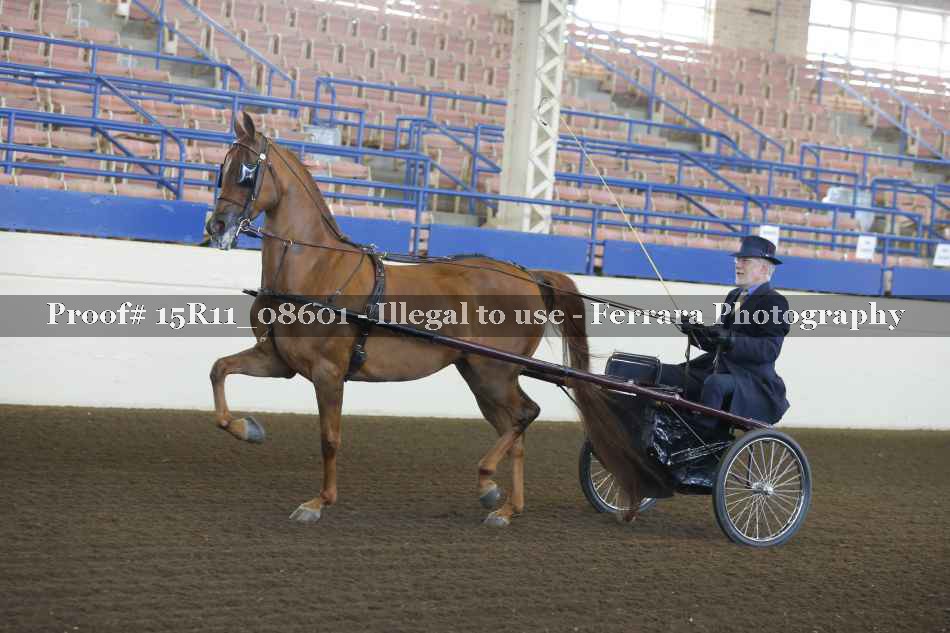 Proof 15R11_08601