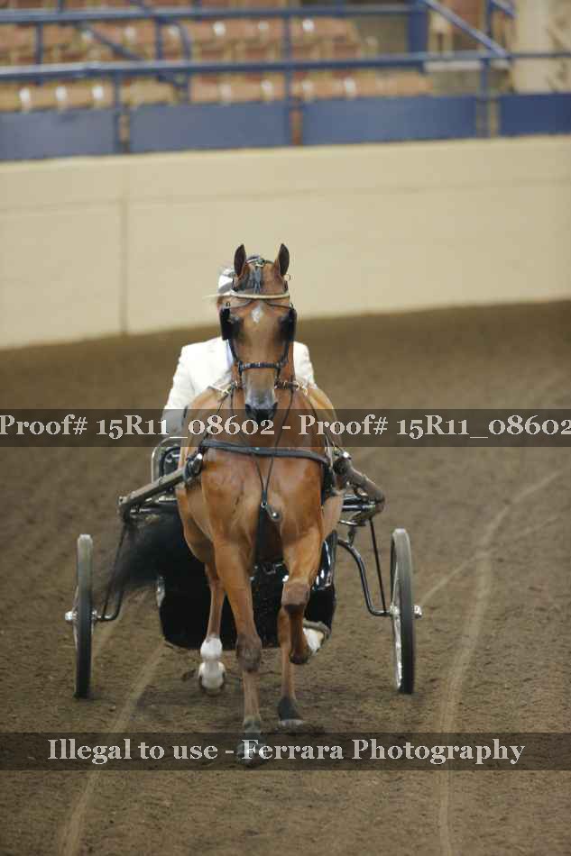Proof 15R11_08602