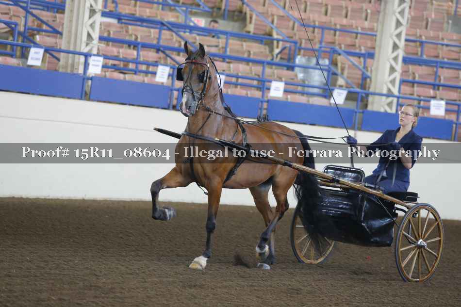 Proof 15R11_08604