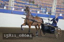 15R11_08604 proof