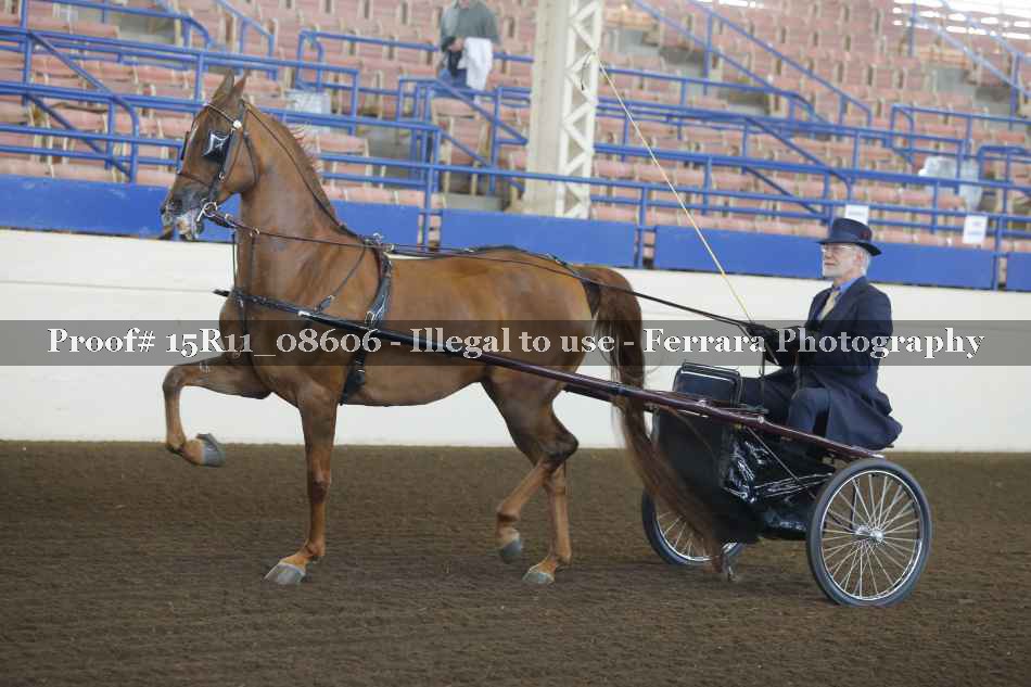 Proof 15R11_08606