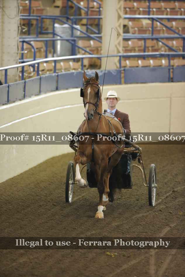Proof 15R11_08607