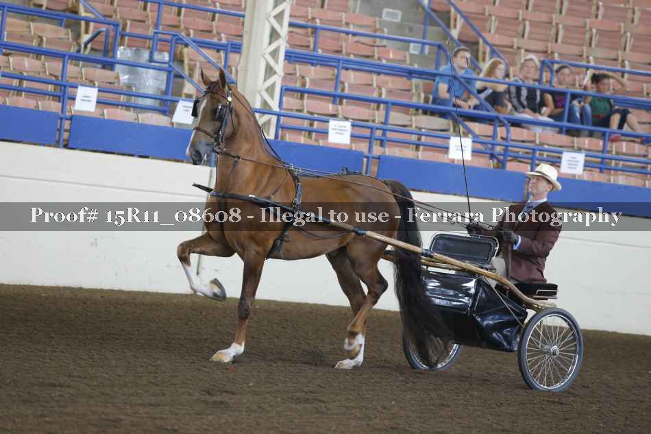 Proof 15R11_08608