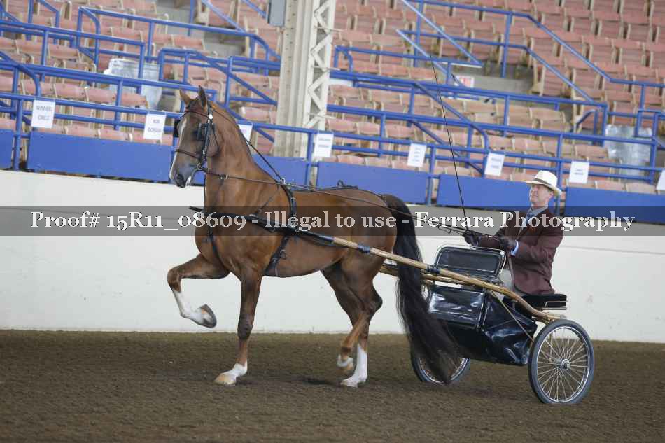 Proof 15R11_08609