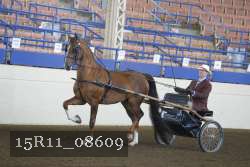 15R11_08609 proof