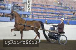 15R11_08612 proof