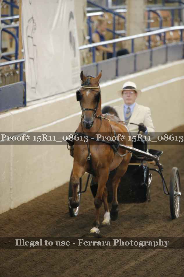 Proof 15R11_08613