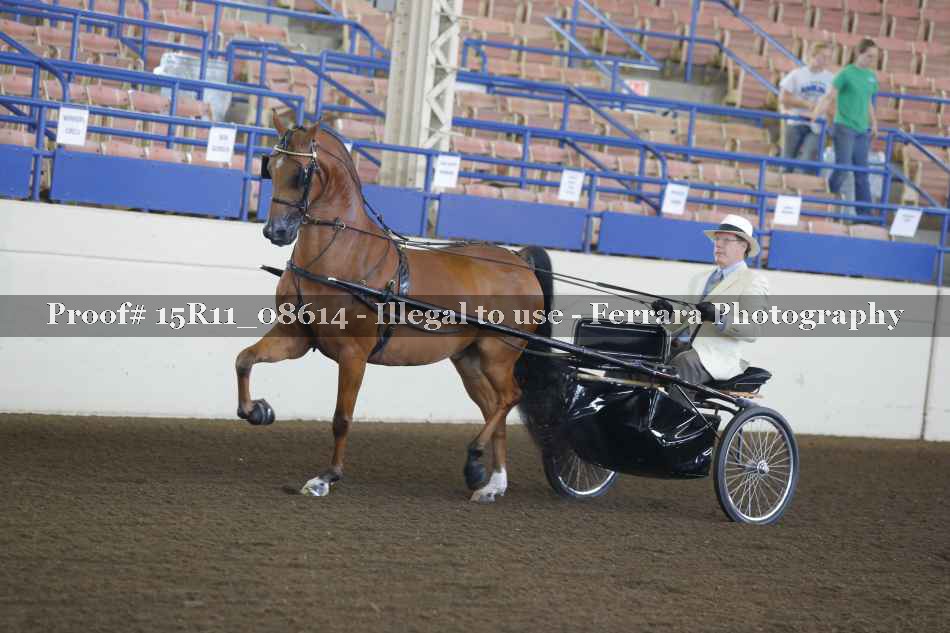 Proof 15R11_08614