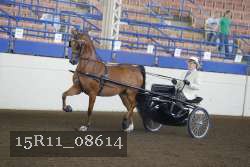 15R11_08614 proof