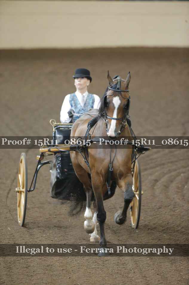 Proof 15R11_08615