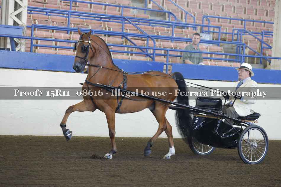Proof 15R11_08616