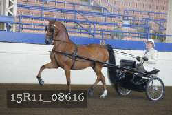 15R11_08616 proof