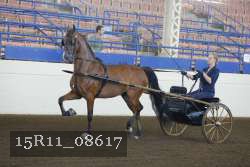 15R11_08617 proof