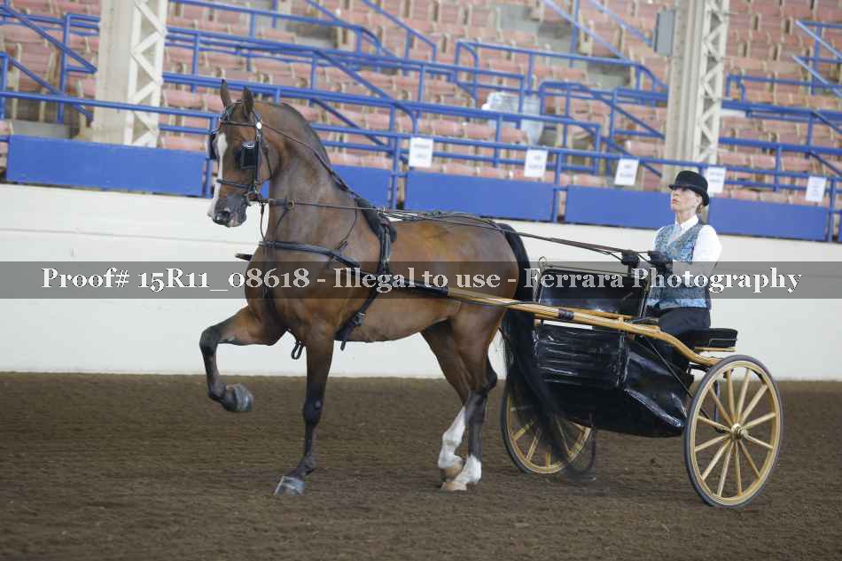 Proof 15R11_08618