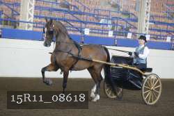 15R11_08618 proof