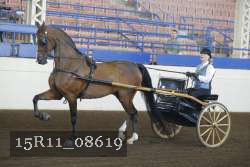 15R11_08619 proof