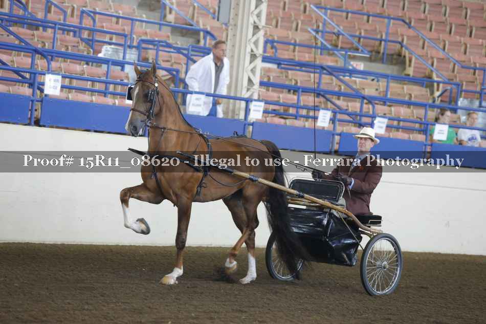 Proof 15R11_08620