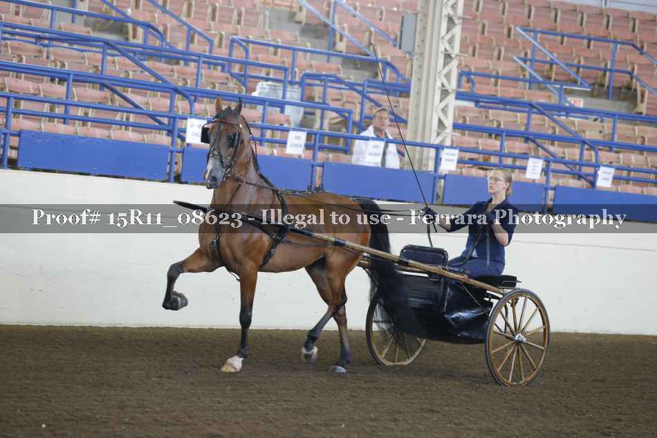 Proof 15R11_08623