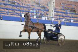 15R11_08623 proof