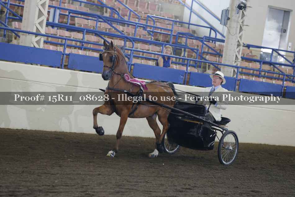 Proof 15R11_08628