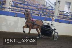15R11_08628 proof
