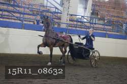 15R11_08632 proof