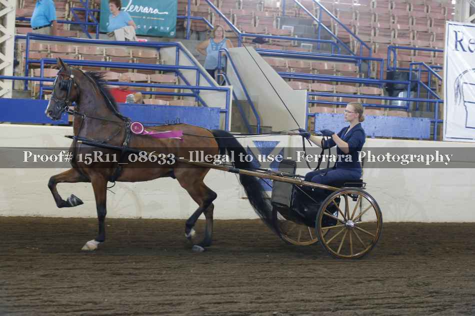 Proof 15R11_08633