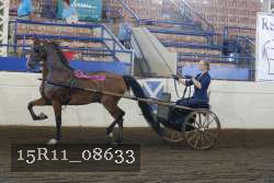 15R11_08633 proof