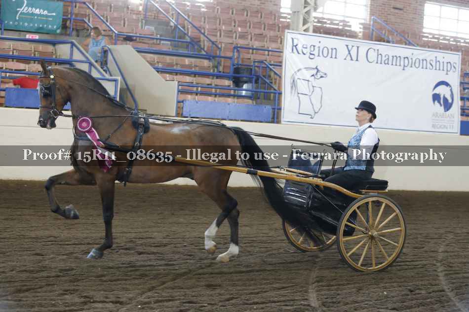 Proof 15R11_08635