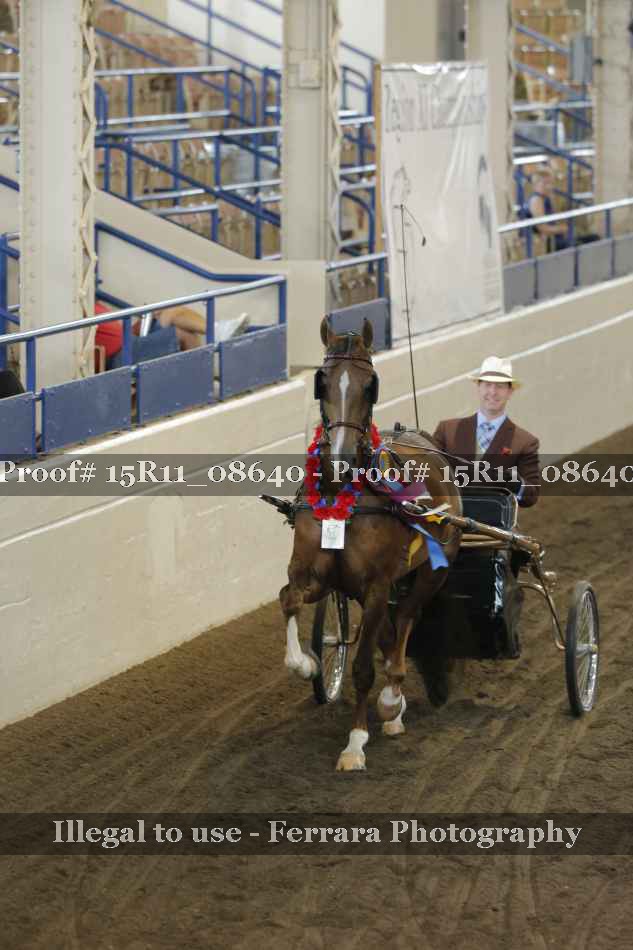 Proof 15R11_08640