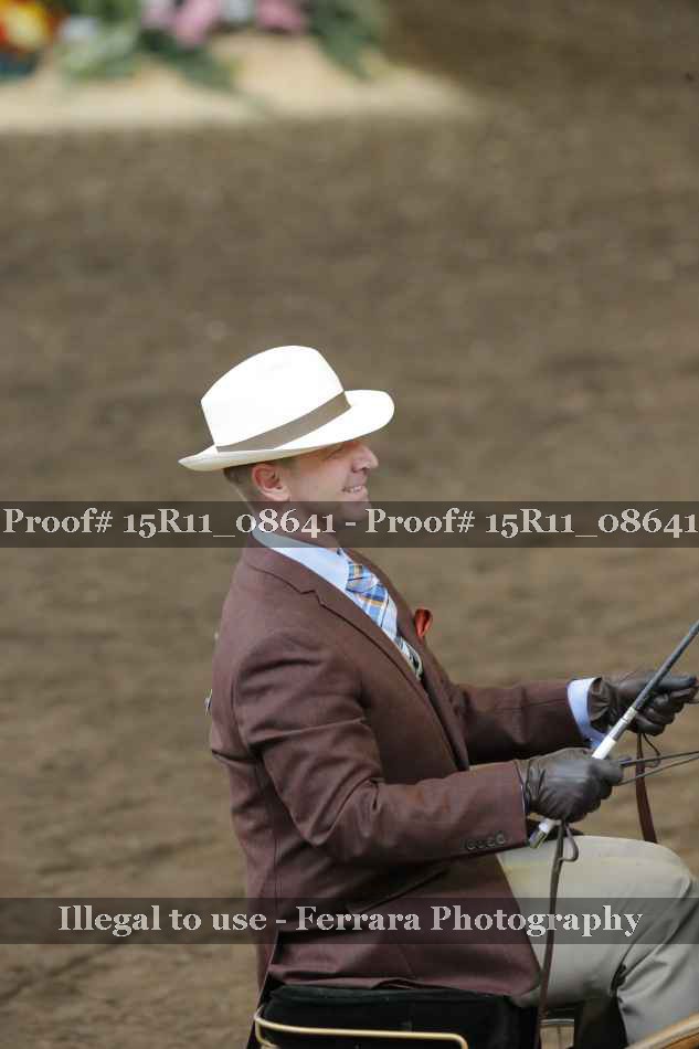 Proof 15R11_08641