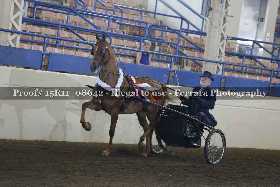 Proof 15R11_08642