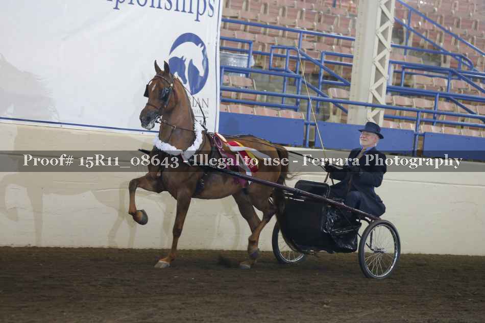 Proof 15R11_08643