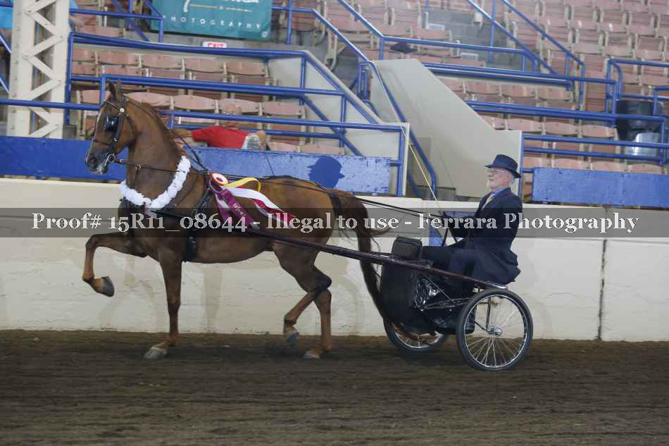 Proof 15R11_08644