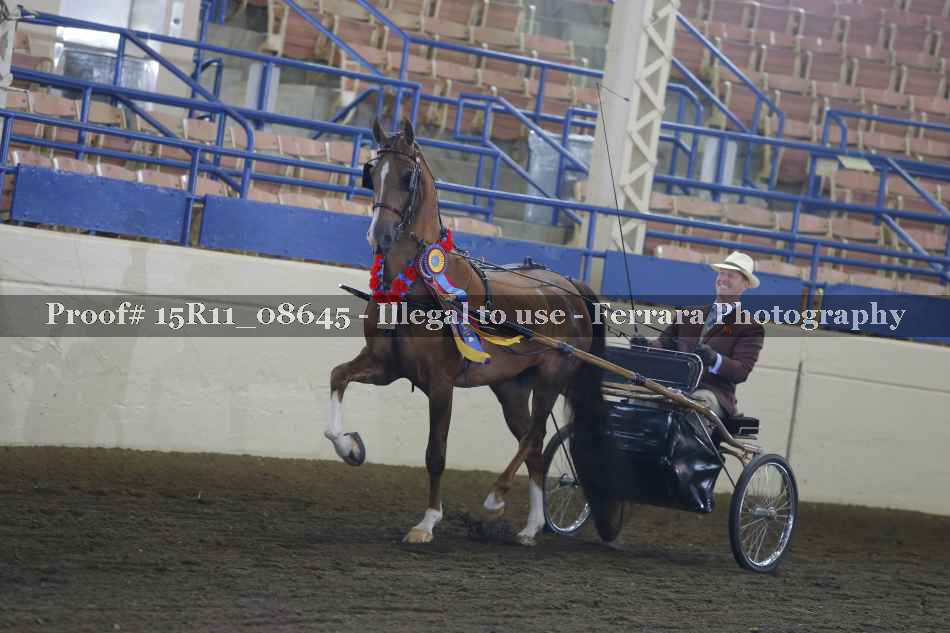 Proof 15R11_08645