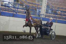15R11_08645 proof