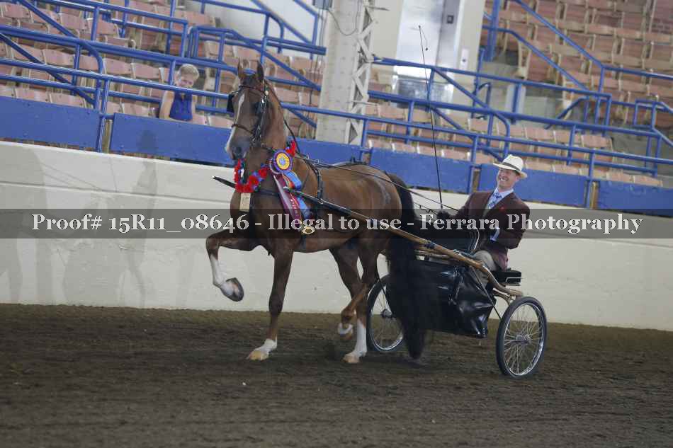 Proof 15R11_08646
