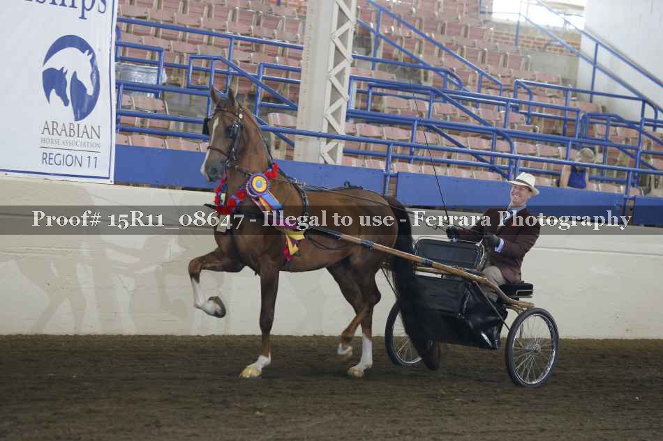 Proof 15R11_08647