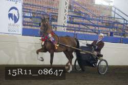 15R11_08647 proof