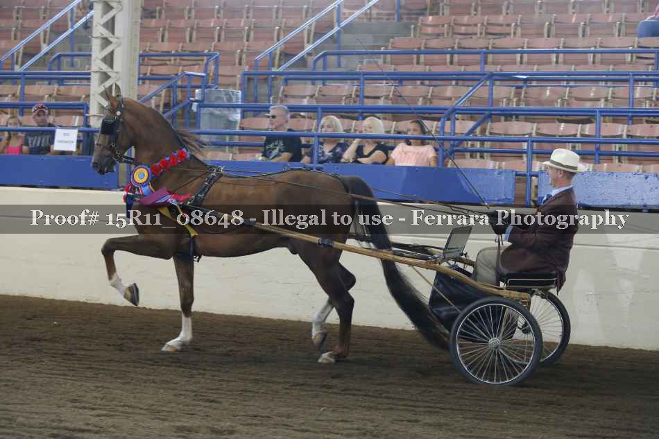 Proof 15R11_08648