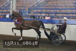 15R11_08648 proof