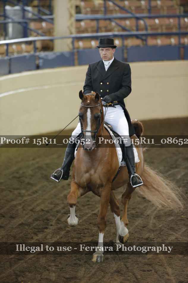 Proof 15R11_08652